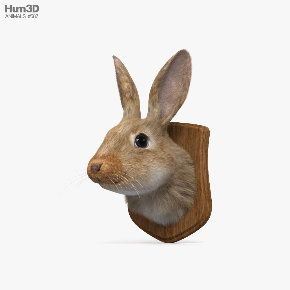 Tête de lapin Modèle 3D