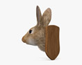 Cabeza de conejo Modelo 3D