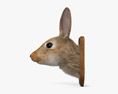 Rabbit Head 3d model