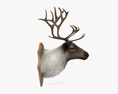 鹿の頭 3Dモデル