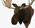 Moose Head 3d model