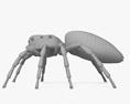 Павук Скакун 3D модель