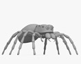 Araignée sauteuse Modèle 3d