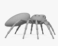 Павук Скакун 3D модель