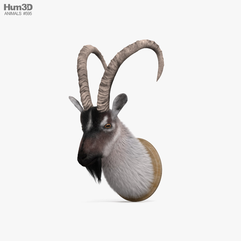 Голова козы 3D модель