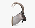 Goat Head 3d model