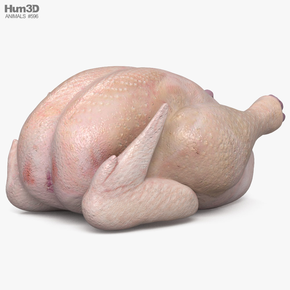 Pollo fresco Modello 3D