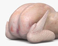 Fresh Chicken 3d model