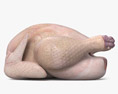 鲜鸡肉 3D模型