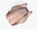 Frisches Huhn 3D-Modell