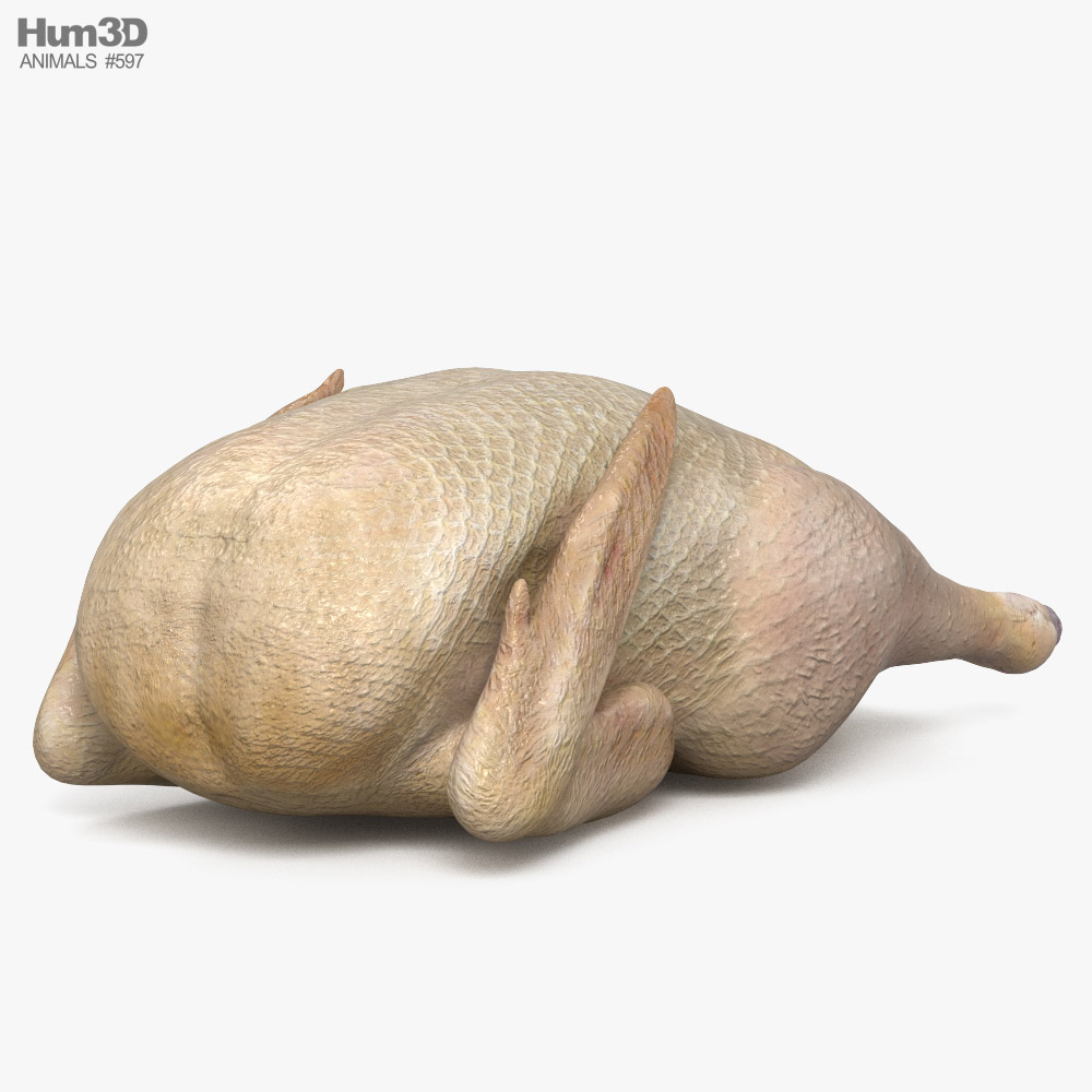 Canard frais Modèle 3D