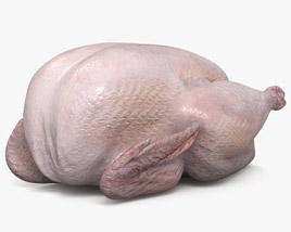 Fresh Turkey 3D model