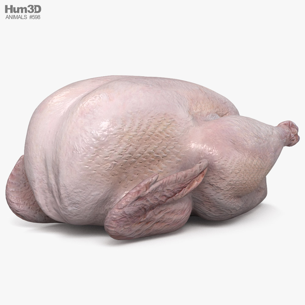 鲜火鸡肉 3D模型