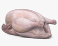 Fresh Turkey 3d model