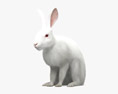 Conejo blanco Modelo 3D