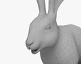 Weißer Hase 3D-Modell