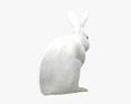 Coniglio bianco Modello 3D