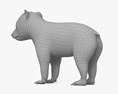 갈색 곰 새끼 3D 모델 