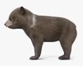 Filhote de urso pardo Modelo 3d