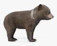 Cucciolo di orso bruno Modello 3D