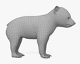 갈색 곰 새끼 3D 모델 