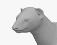 Egyptian Mongoose 3d model