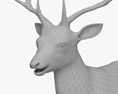 Cervo sika Modello 3D