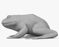 Bullfrog 3D-Modell