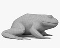 Bullfrog 3Dモデル