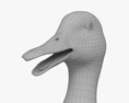 Mallard Duck Female 3d model