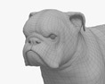 Brindle English Bulldog 3D модель