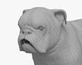 Brindle English Bulldog Modello 3D