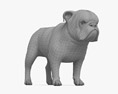 Brindle English Bulldog 3D 모델 