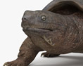 Snapping Turtle Modelo 3d
