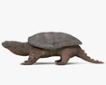 Snapping Turtle 3Dモデル