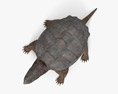 Snapping Turtle Modèle 3d