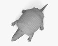Snapping Turtle 3D 모델 