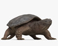 Snapping Turtle Modelo 3D