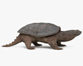 Snapping Turtle Modelo 3D