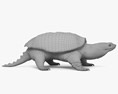 Snapping Turtle 3D-Modell