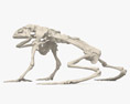 カエルの骨格 3Dモデル