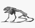 カエルの骨格 3Dモデル
