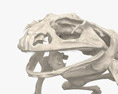 개구리 해골 3D 모델 