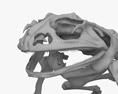 Froschskelett 3D-Modell