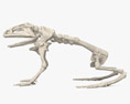 Скелет жаби 3D модель
