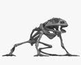 Froschskelett 3D-Modell