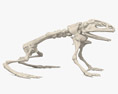 개구리 해골 3D 모델 