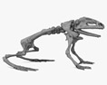 Squelette de Grenouille Modèle 3d