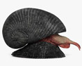 Scaly-Foot Gastropod 3D-Modell
