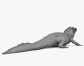 美國短吻鱷 3D模型